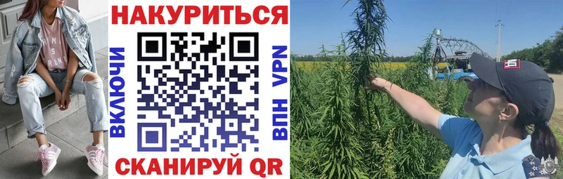 Купить закладку Элиста COCAIN Альфа ПВП Гашиш Меф мяу мяу