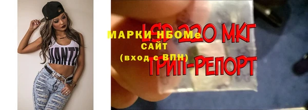 ECSTASY Абаза