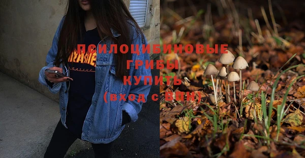 шишки Алексеевка