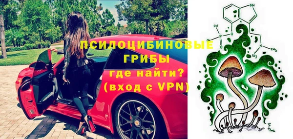 шишки Алексеевка