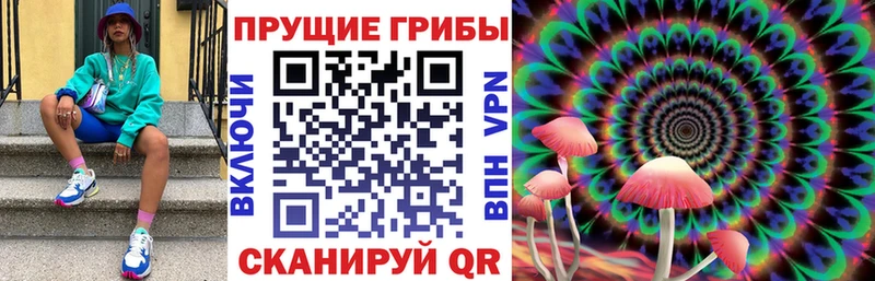 купить   нарко площадка наркотические препараты  Псилоцибиновые грибы GOLDEN TEACHER  Элиста 